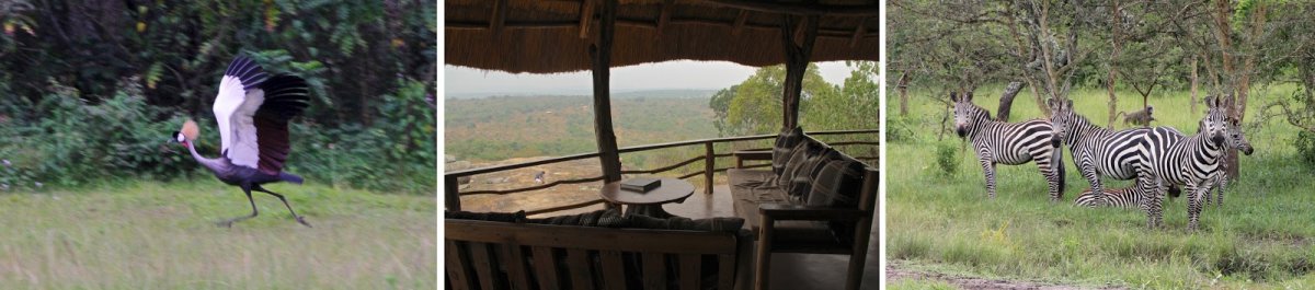 Сафари парк в Уганге