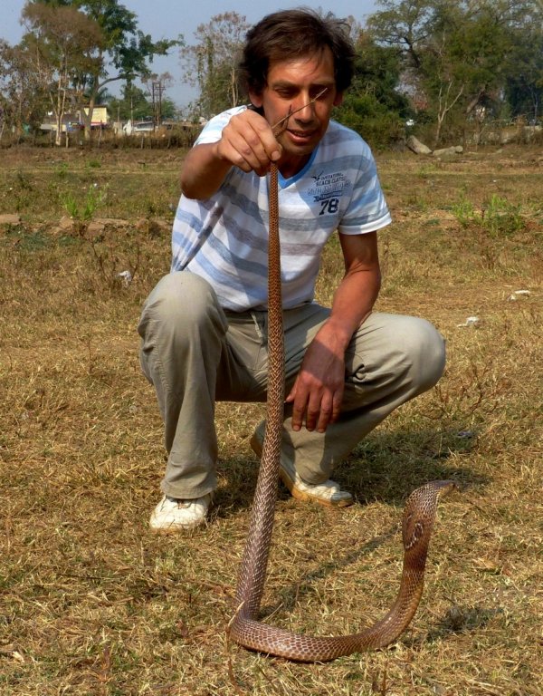Индия, змея.jpg