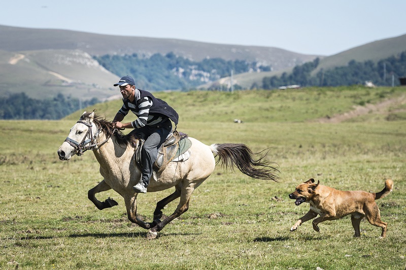 конные туры